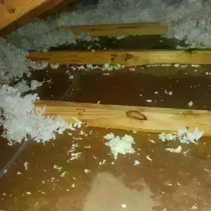 Attic Water Damage in Maiden, NC