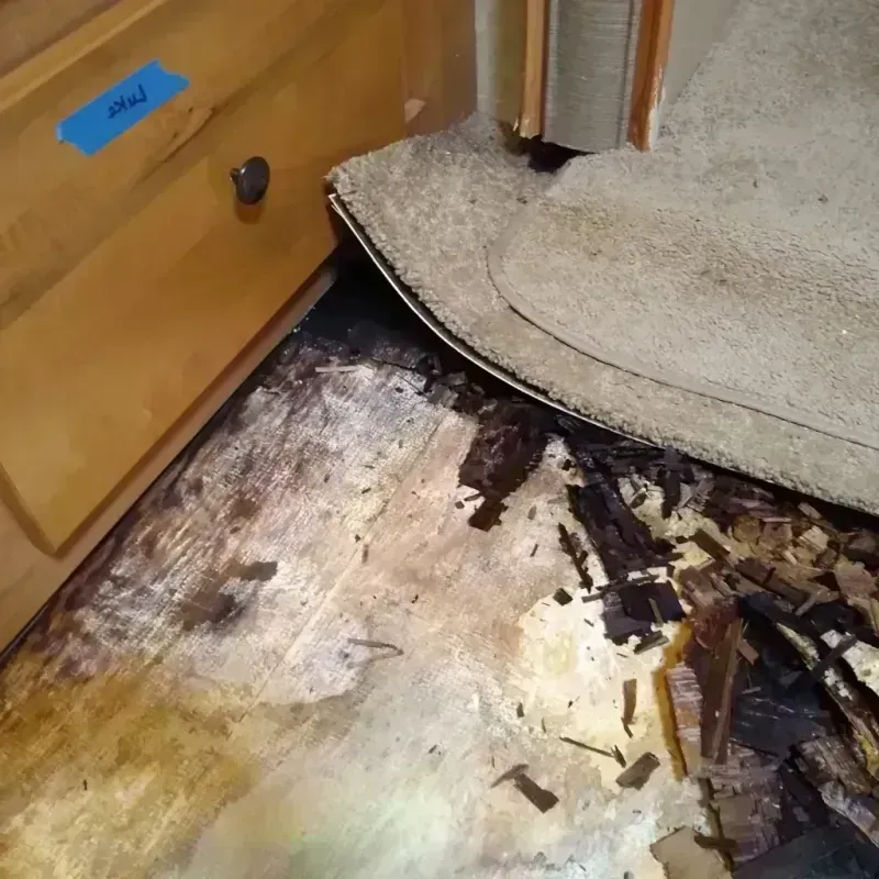 Wood Floor Water Damage in Maiden, NC